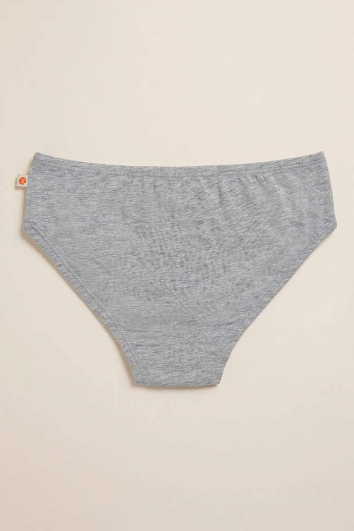 Zivame Girls Harry Potter Briefs (Pack of 2) - Multicolor — image 5